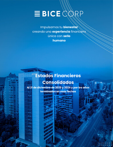 Miniature Bicecorp Bilan financier 2025