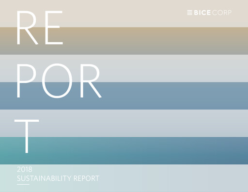 Miniature Bicecorp Rapport de durabilité 2018