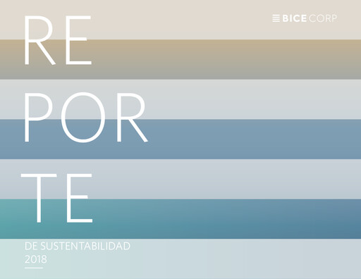 Miniature Bicecorp Rapport de durabilité 2018