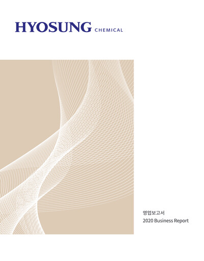Thumbnail Hyosung Chemical Corporation Financial Report 2020