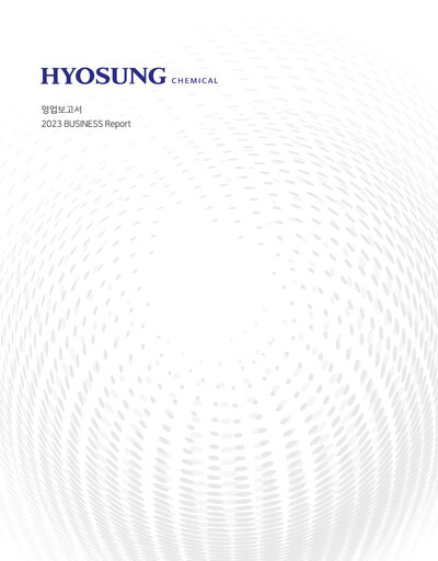 Thumbnail Hyosung Chemical Corporation Financial Report 2023