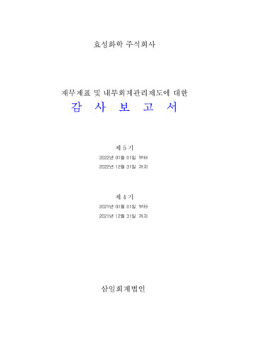 Thumbnail Hyosung Chemical Corporation Financial Statement 2022