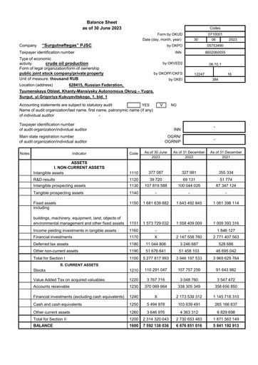 Vorschaubild Surgutneftegas Finanzmitteilung 2023-h1