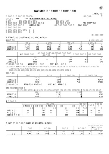 Thumbnail AlphaPolis Financial Report fy2020