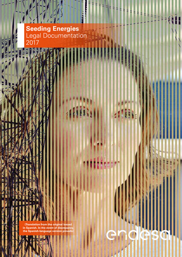 Thumbnail Endesa Annual Report 2017