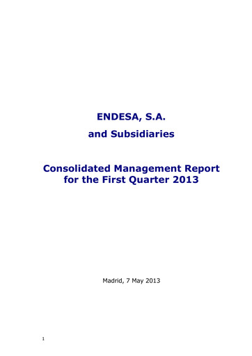 Vorschaubild Endesa Quartalsbericht 2013-q1