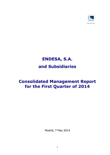 Vorschaubild Endesa Quartalsbericht 2014-q1
