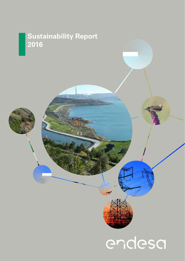 Miniature Endesa Rapport de durabilité 2016
