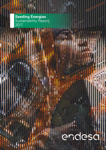 Miniature Endesa Rapport de durabilité 2017