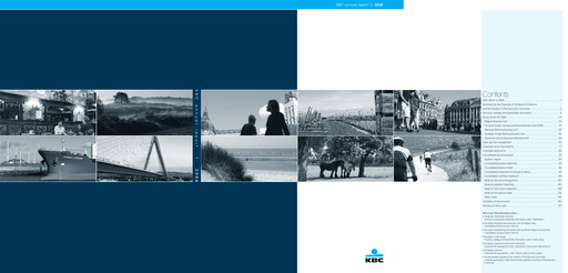 Thumbnail KBC Annual Report 2008