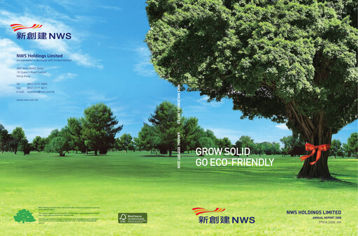 Thumbnail CTF Services Limited
 Annual Report 2008