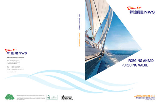 Thumbnail CTF Services Limited
 Annual Report 2013