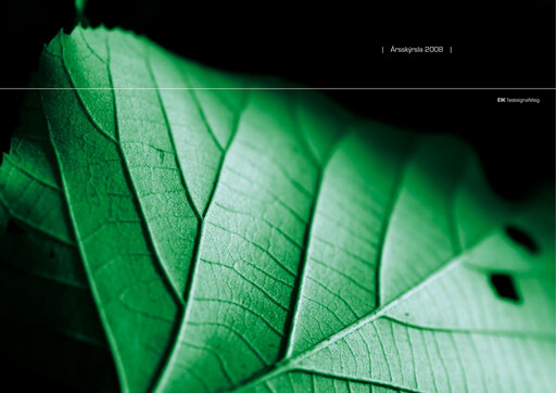 Thumbnail Eik fasteignafélag Annual Report 2008
