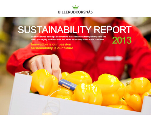 Thumbnail BillerudKorsnäs Sustainability Report 2013