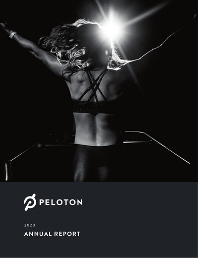 Miniature Peloton Rapport annuel 2020