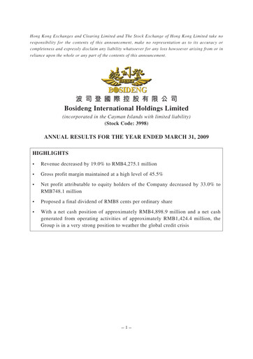 Miniature Bosideng Rapport financier 2008-2009