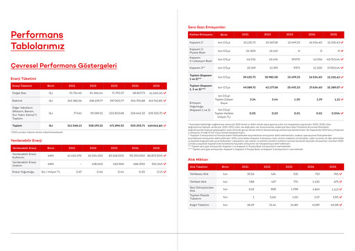 Miniature Akbank Rapport ESG 2025