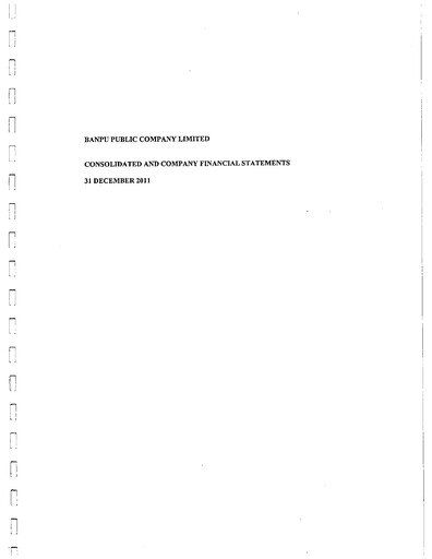 Thumbnail Banpu Public Company Financial Statement 2011