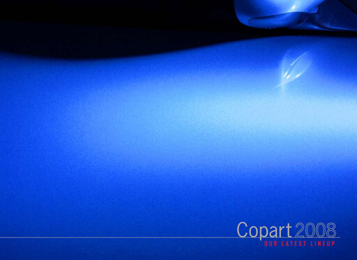 Vorschaubild Copart
 Jahresbericht 2008