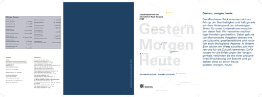 Thumbnail Munich RE (Münchener Rück) Annual Report 2002