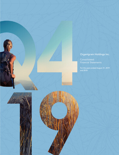 Thumbnail OrganiGram Holdings
 Financial Statement fy2019