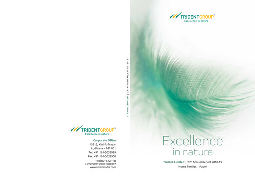 Thumbnail Trident Annual Report 2018-2019