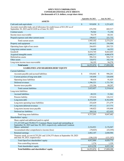 Miniature OpenText Rapport trimestriel 2024-q1