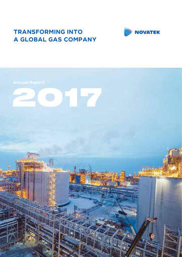 Vorschaubild Novatek Jahresbericht 2017