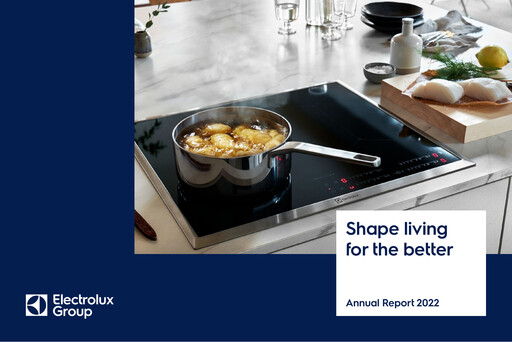 Miniature Electrolux Rapport annuel 2022