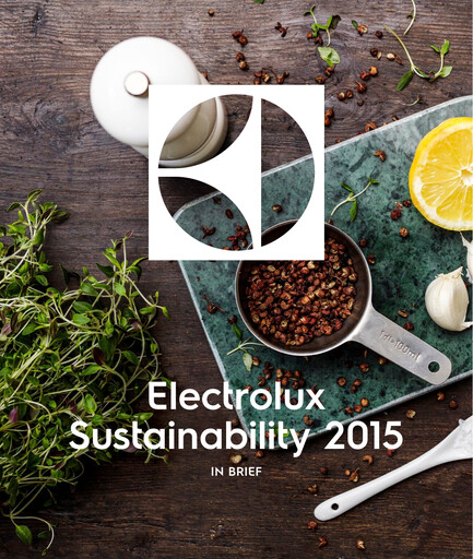 Miniature Electrolux Rapport de durabilité 2015