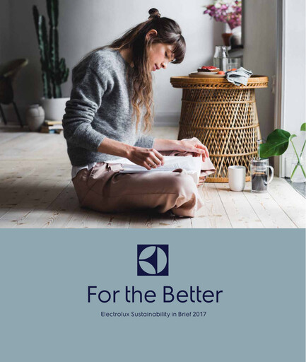 Miniature Electrolux Rapport de durabilité 2017