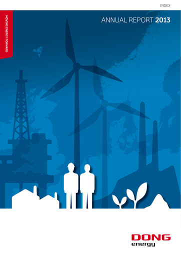 Thumbnail Ørsted Annual Report 2013