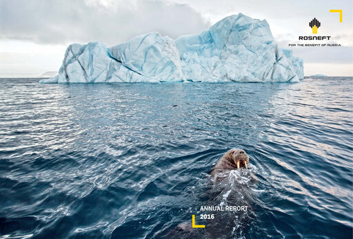 Miniature Rosneft Rapport annuel 2016