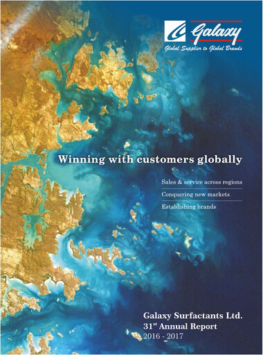 Thumbnail Galaxy Surfactants
 Annual Report 2016-2017