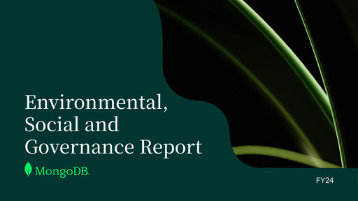 Miniature MongoDB Rapport ESG 2024