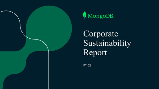 Miniature MongoDB Rapport de durabilité 2022