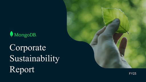 Miniature MongoDB Rapport de durabilité 2023