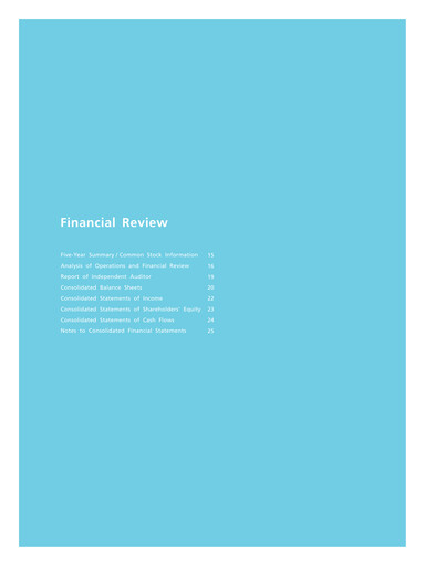 Thumbnail Nintendo
 Financial Statement 2006