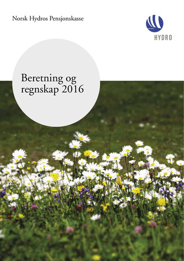 Thumbnail Norsk Hydro
 Financial Statement 2016