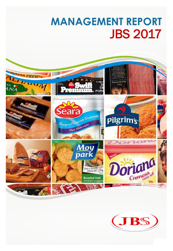 Thumbnail JBS N.V. Financial Statement 2017