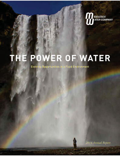 Miniature Middlesex Water Company
 Rapport annuel 2014