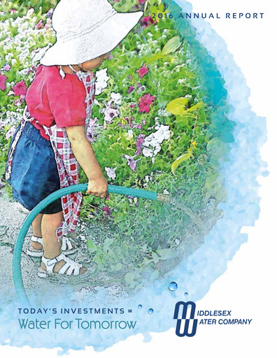 Miniature Middlesex Water Company
 Rapport annuel 2016