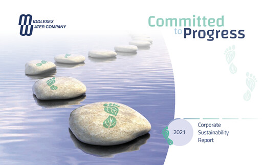 Miniature Middlesex Water Company
 Rapport de durabilité 2020