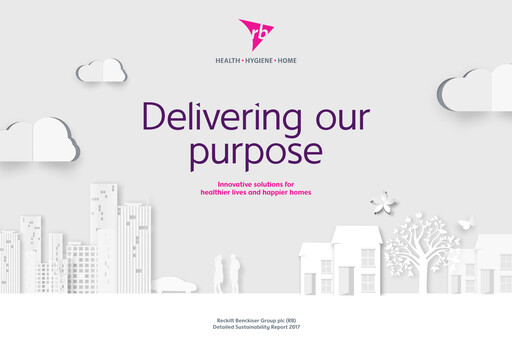Miniature Reckitt Benckiser
 Rapport de durabilité 2017