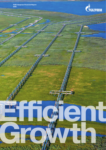 Thumbnail Gazprom Financial Statement 2019