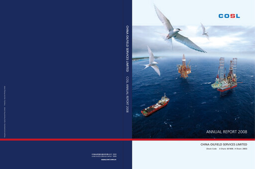 Miniature China Oilfield Services
 Rapport annuel 2008