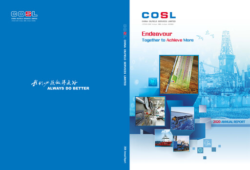 Miniature China Oilfield Services
 Rapport annuel 2020