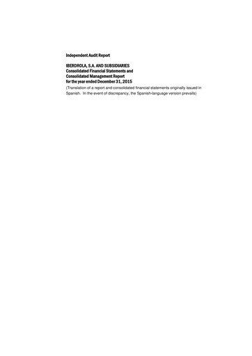 Thumbnail Iberdrola Financial Statement fy2015
