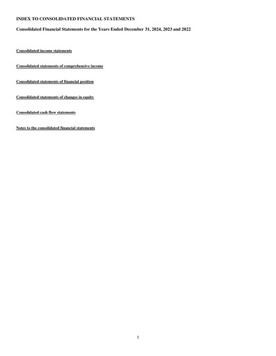 Thumbnail Materialise NV Financial Statement 2024