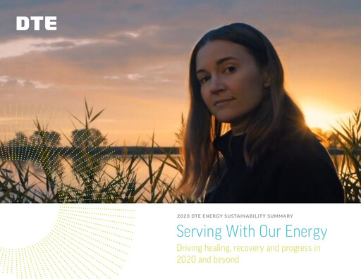 Miniature DTE Energy
 Rapport de durabilité 2020